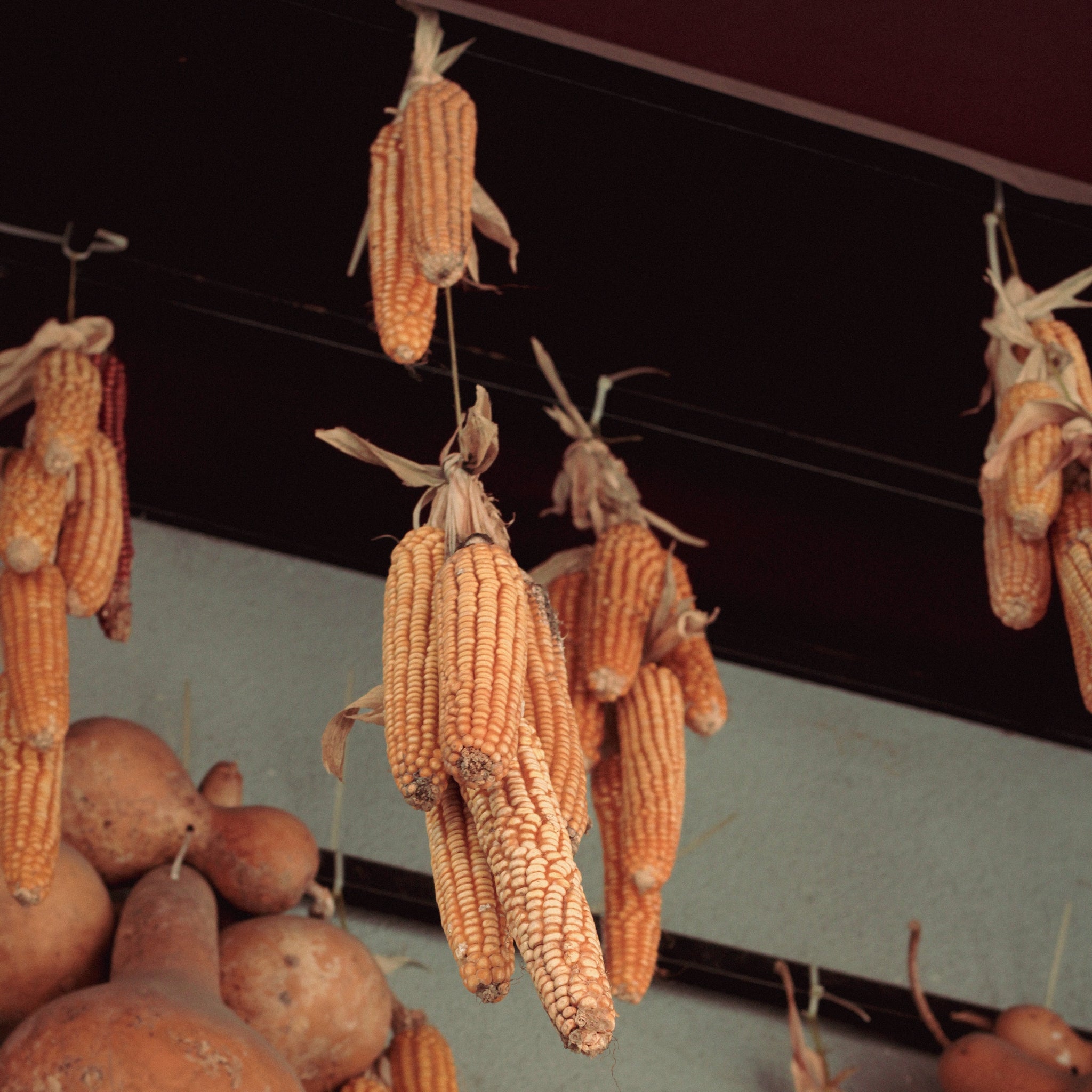 Crew's Super Sweet Corn Coffee Wake The Crew