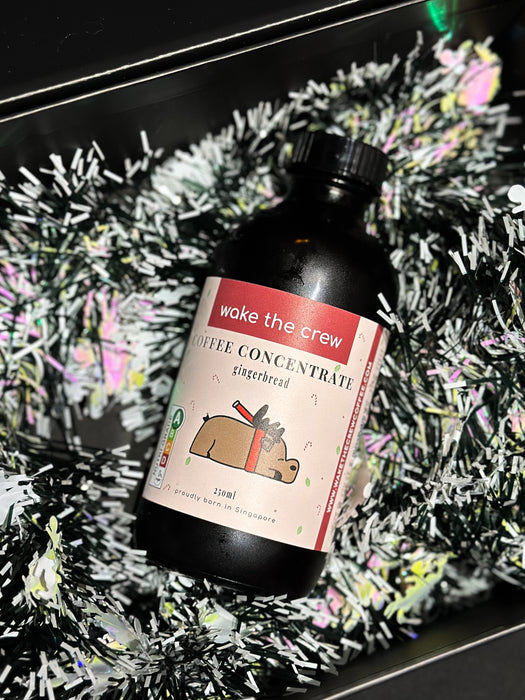 Gingerbread Coffee Concentrate [XMAS SPECIAL]